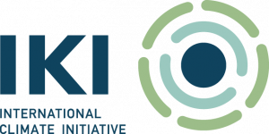 IKI Logo